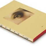 Medium Pictorial Journal - Raffaello Sanzio Eye