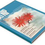 Catnip Magazine, Volume 2